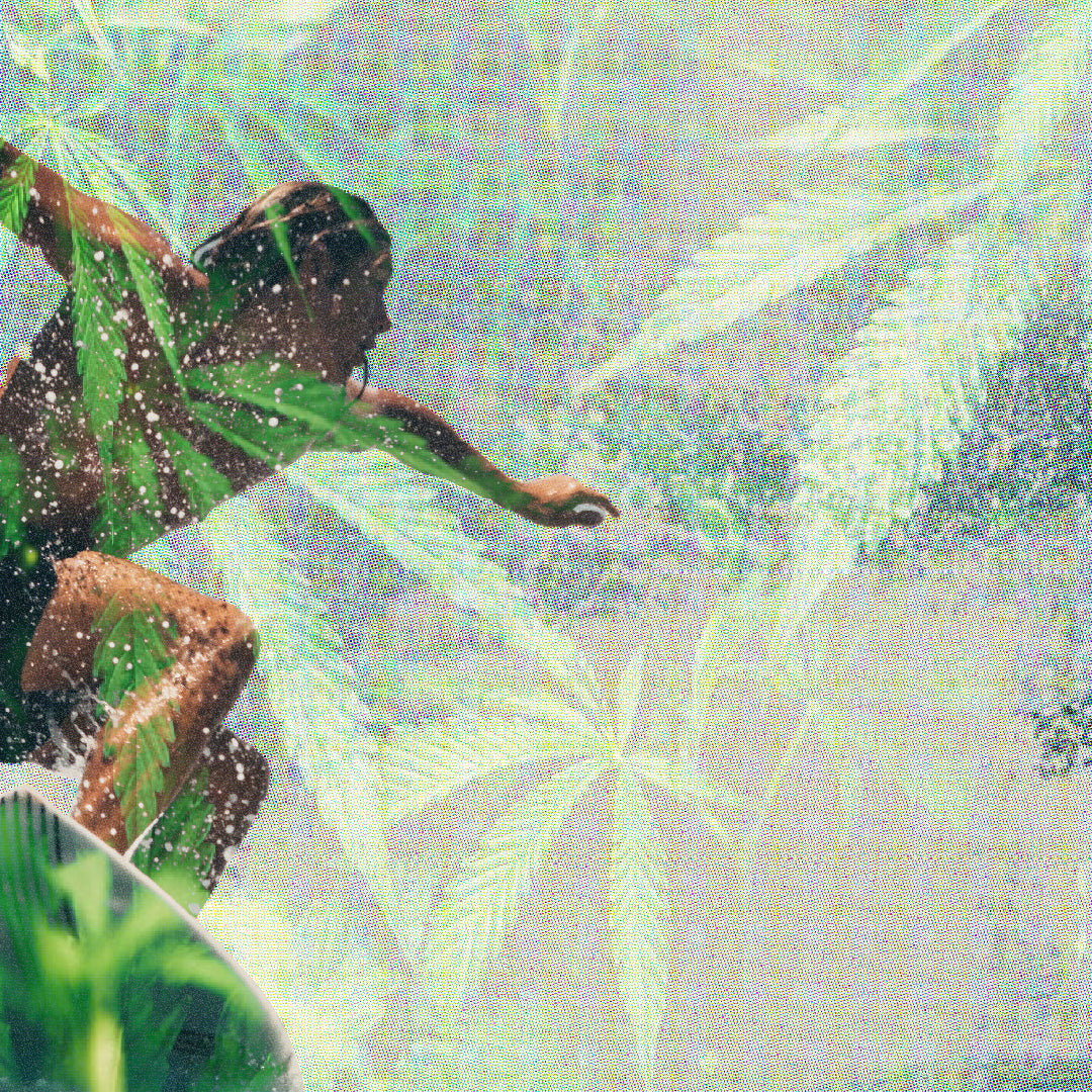cbd chocolate benefits
